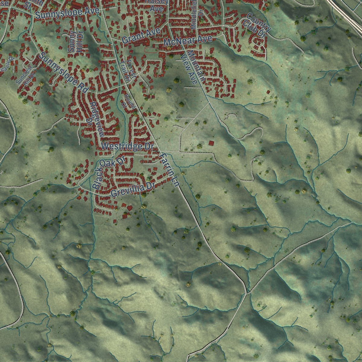 Second close-up of the map of Petaluma, California print showing more streets and buildings