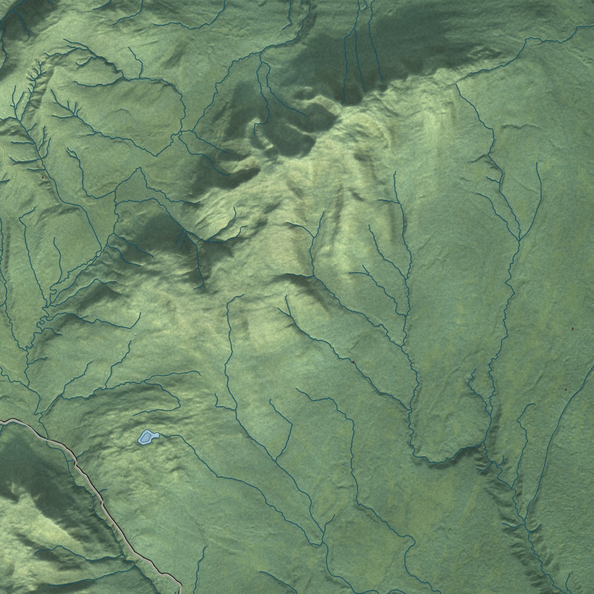 Second close-up of the map of Petersville, Alaska print showing more streets and buildings