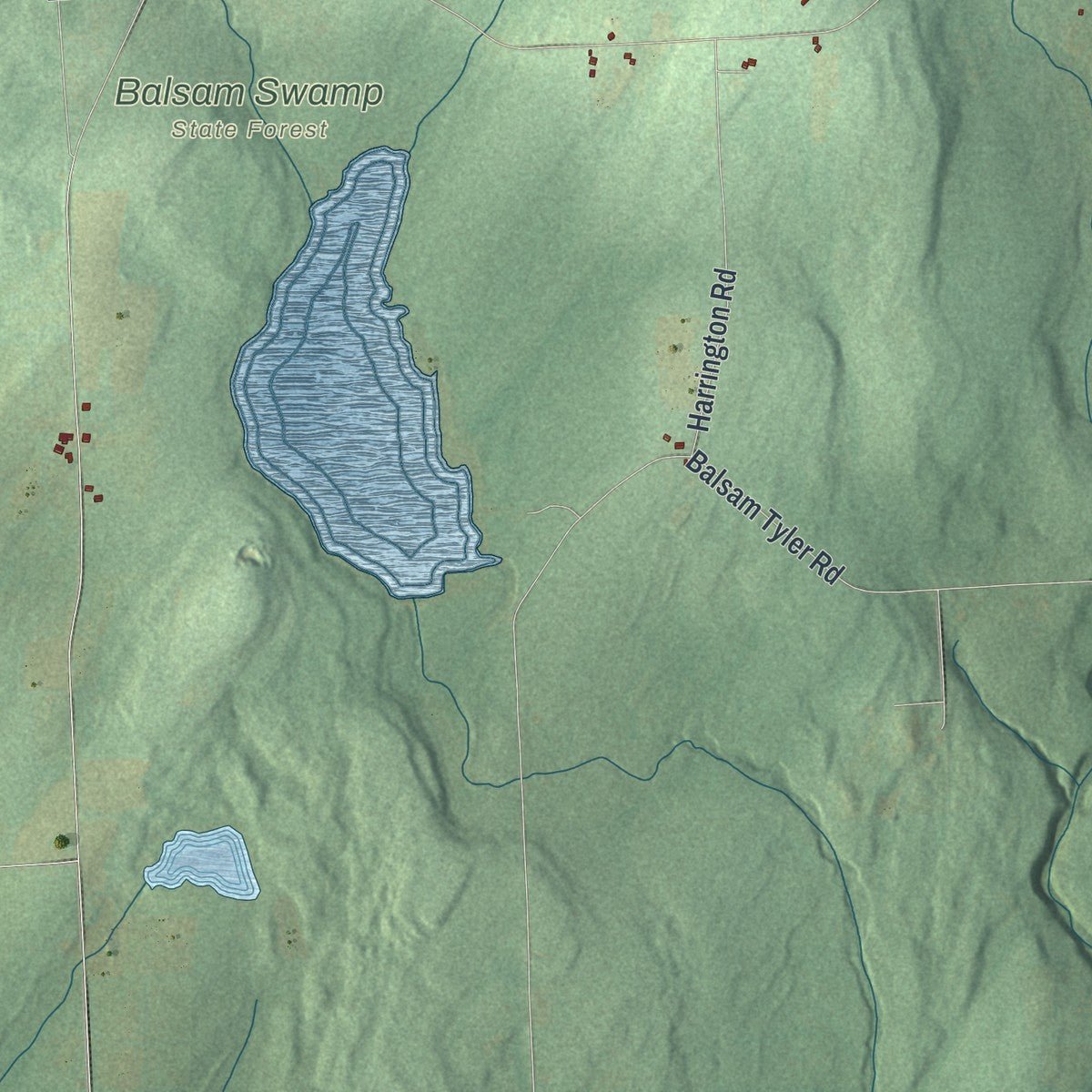 Second close-up of the map of Pharsalia, New York print showing more streets and buildings