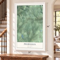 Pharsalia, New York map, 24 x 36 inch print in a white frame by a staircase