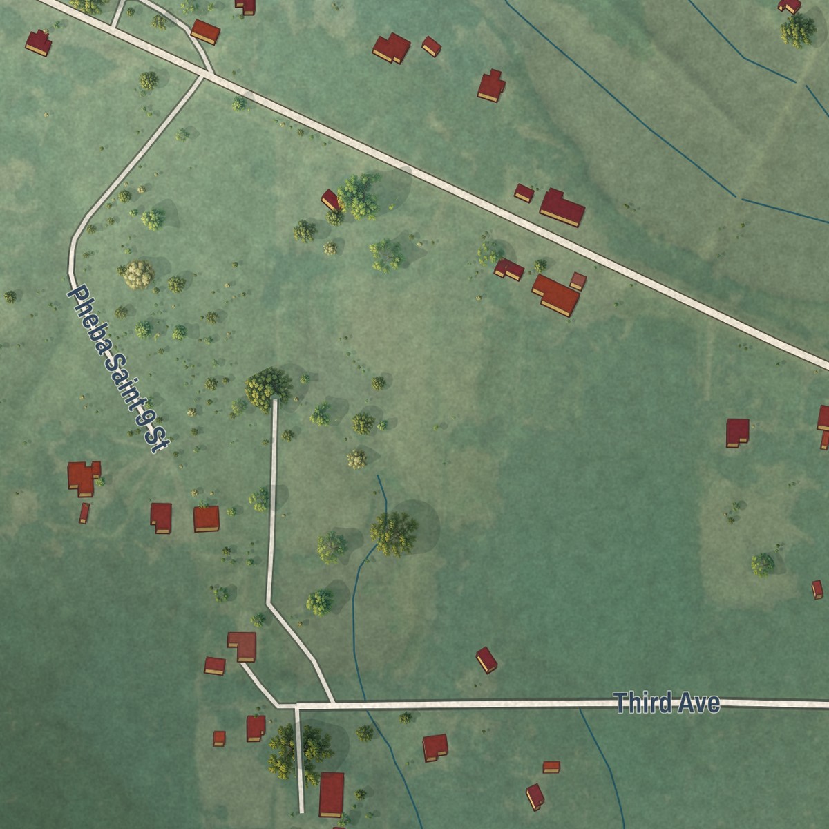 Second close-up of the map of Pheba, Mississippi print showing more streets and buildings