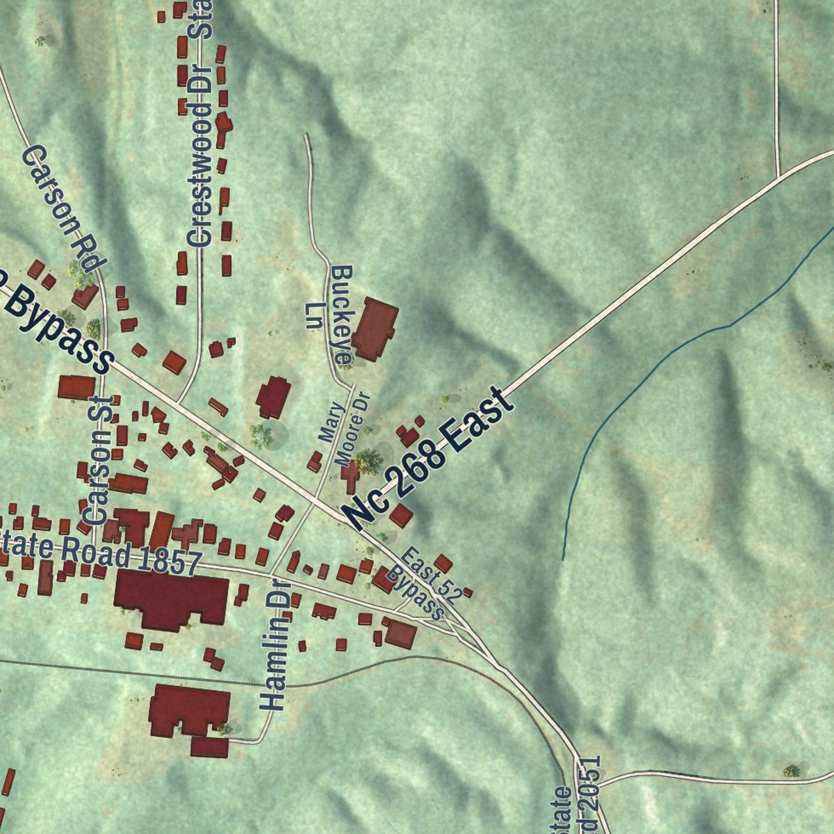 Second close-up of the map of Pilot Mountain, North Carolina print showing more streets and buildings