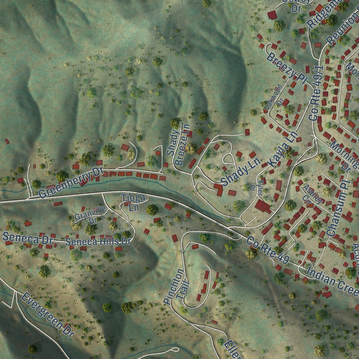 Second close-up of the map of Pinch, West Virginia print showing more streets and buildings
