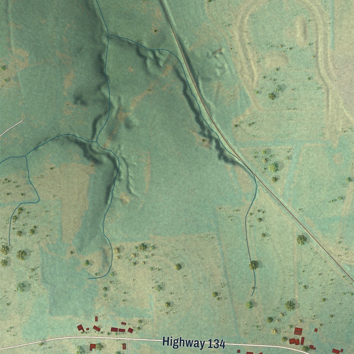 Second close-up of the map of Pinckard, Alabama print showing more streets and buildings