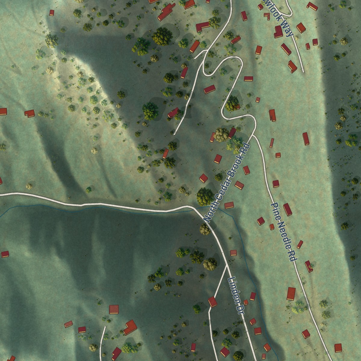 Second close-up of the map of Pine Brook Hill, Colorado print showing more streets and buildings