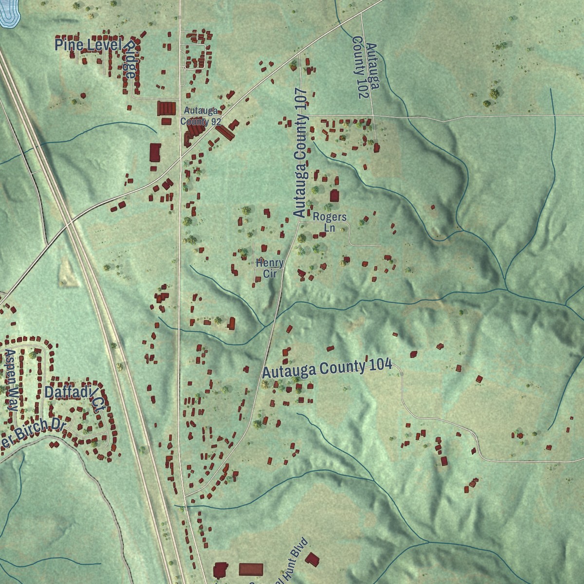 Second close-up of the map of Pine Level, Alabama print showing more streets and buildings