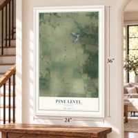 Pine Level, Florida map, 24 x 36 inch print in a white frame by a staircase