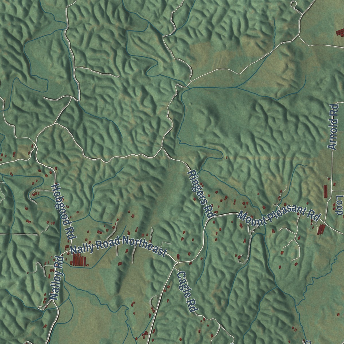 Second close-up of the map of Pine Log, Georgia print showing more streets and buildings