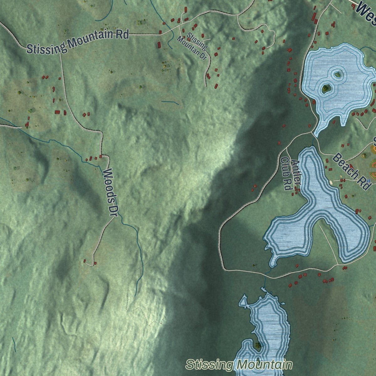 Second close-up of the map of Pine Plains, New York print showing more streets and buildings