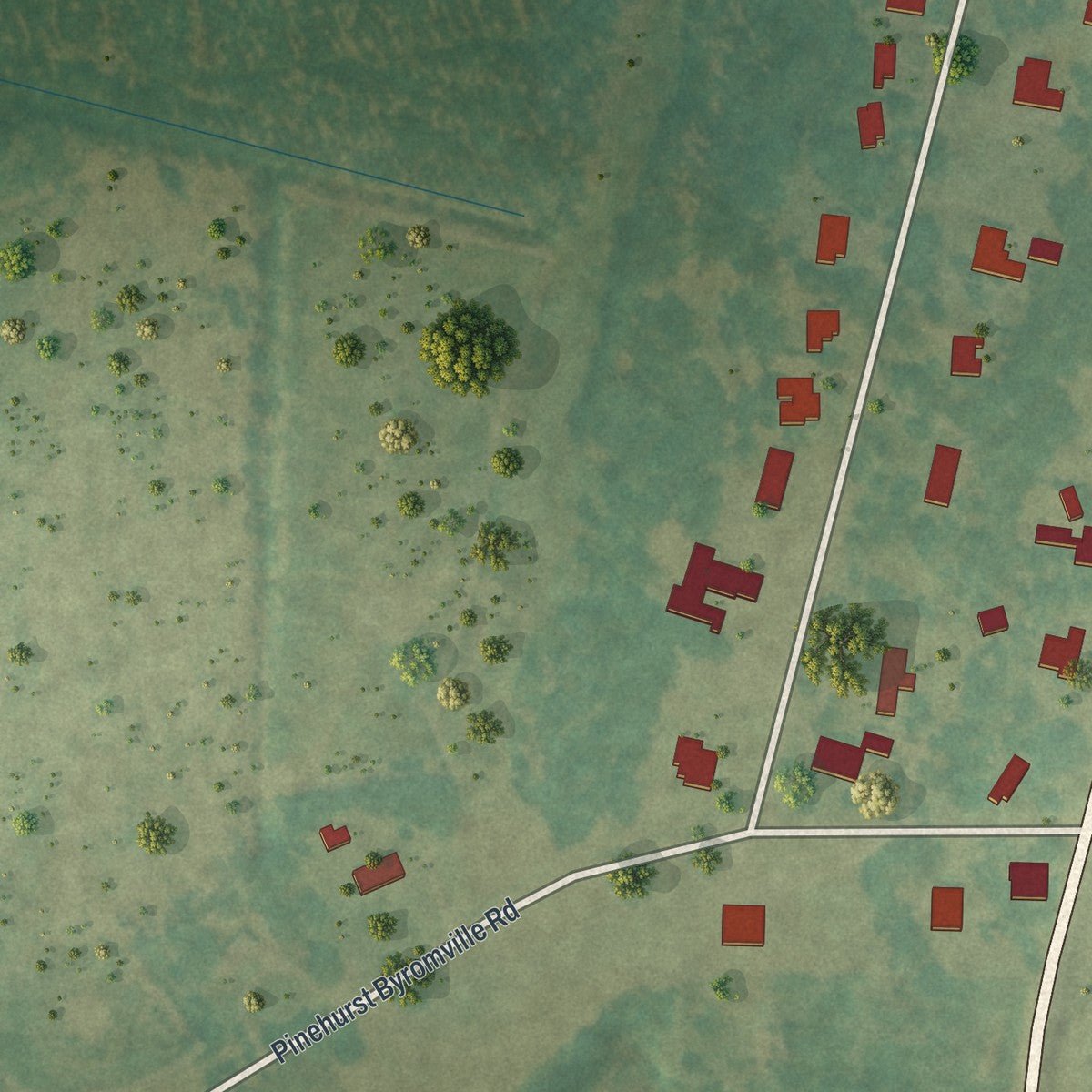 Second close-up of the map of Pinehurst, Georgia print showing more streets and buildings