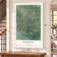 Pineville, Louisiana map, 24 x 36 inch print in a white frame by a staircase