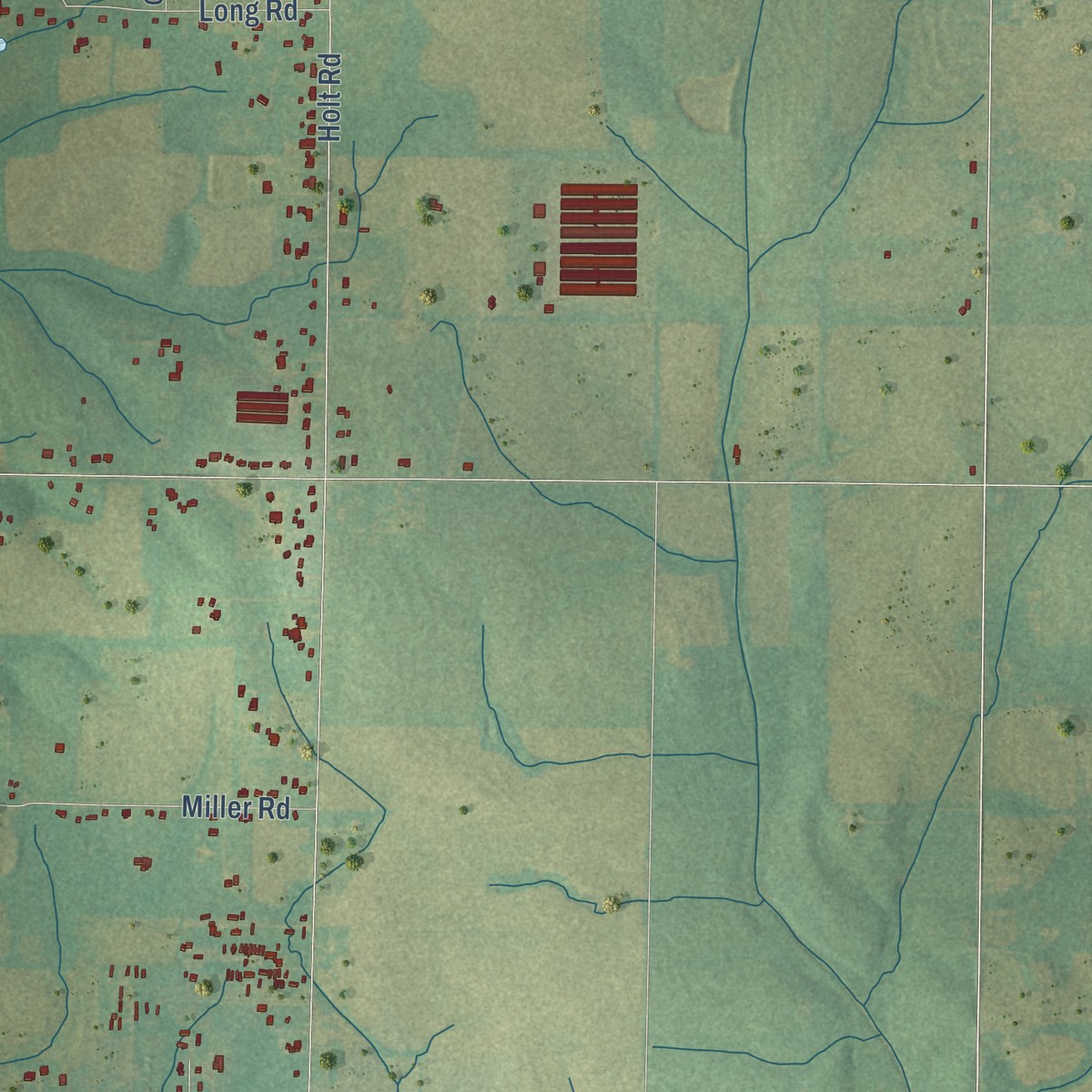 Second close-up of the map of Piney Chapel, Alabama print showing more streets and buildings