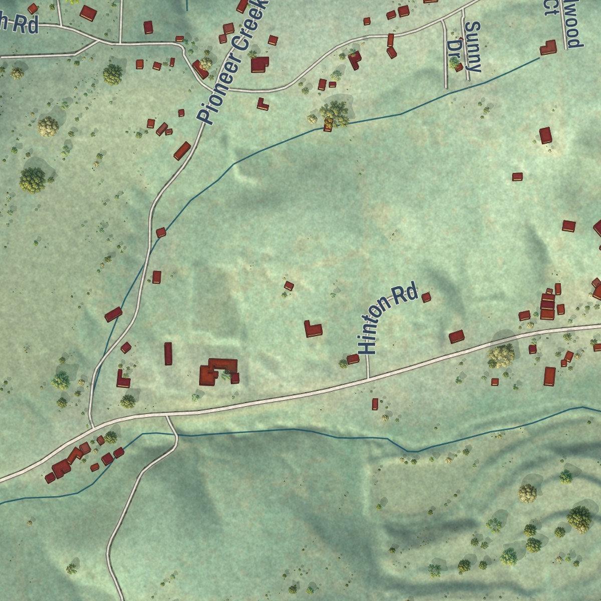 Second close-up of the map of Pioneer, California print showing more streets and buildings