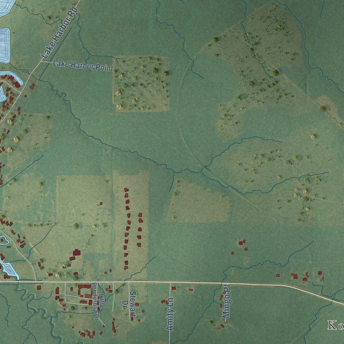 Second close-up of the map of Pisgah, Mississippi print showing more streets and buildings