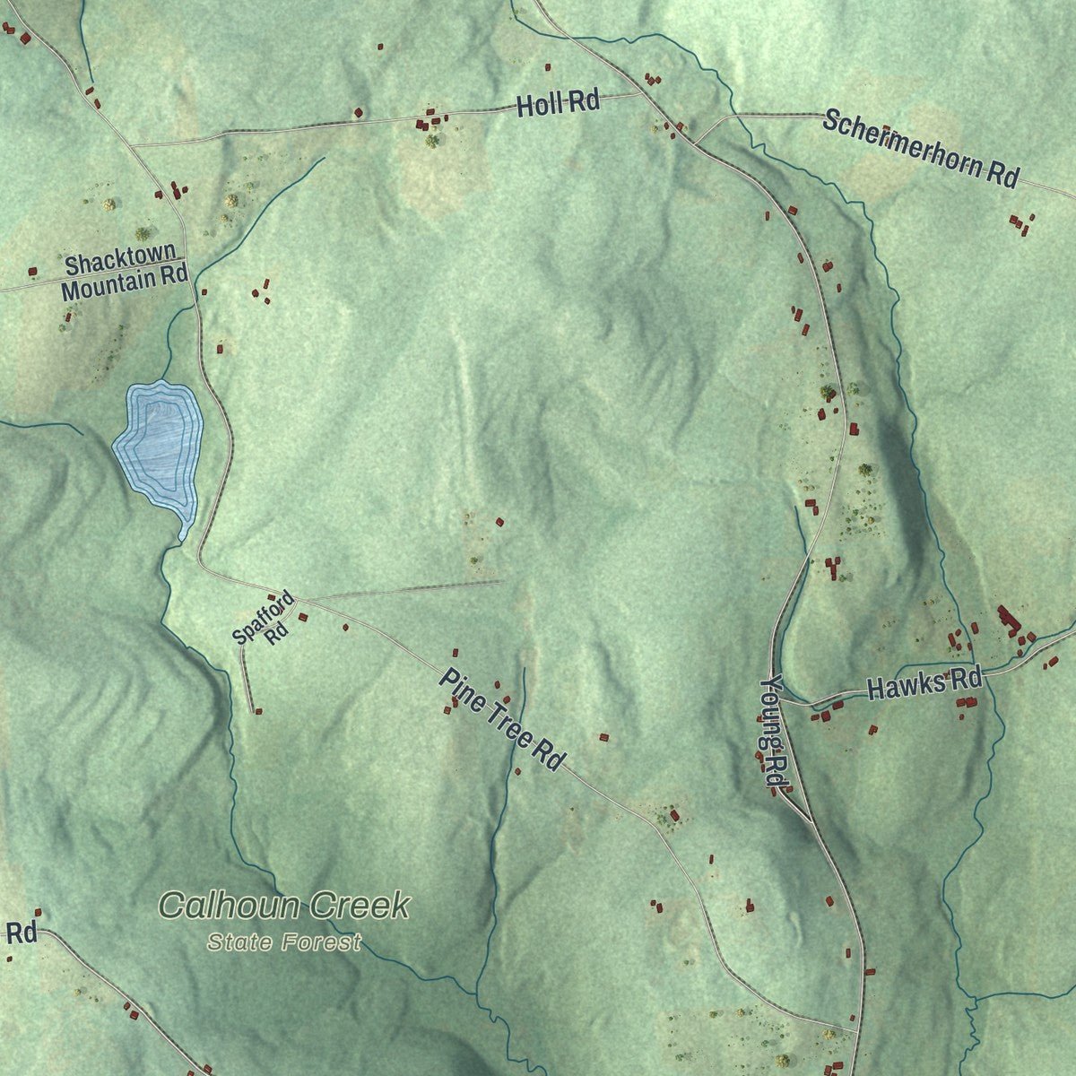 Second close-up of the map of Pittsfield, New York print showing more streets and buildings