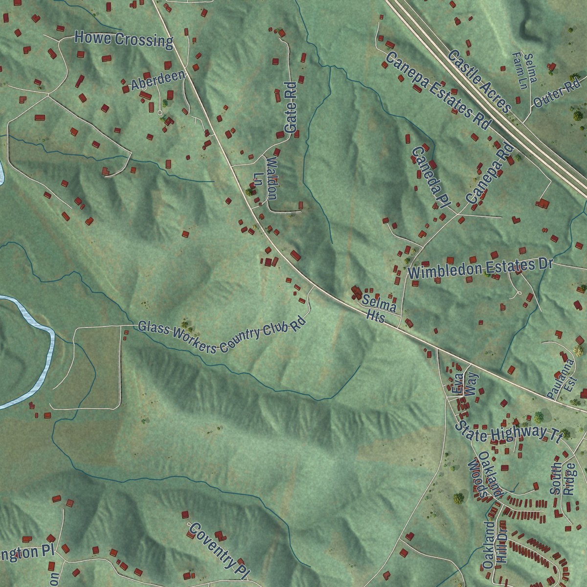 Second close-up of the map of Plattin, Missouri print showing more streets and buildings