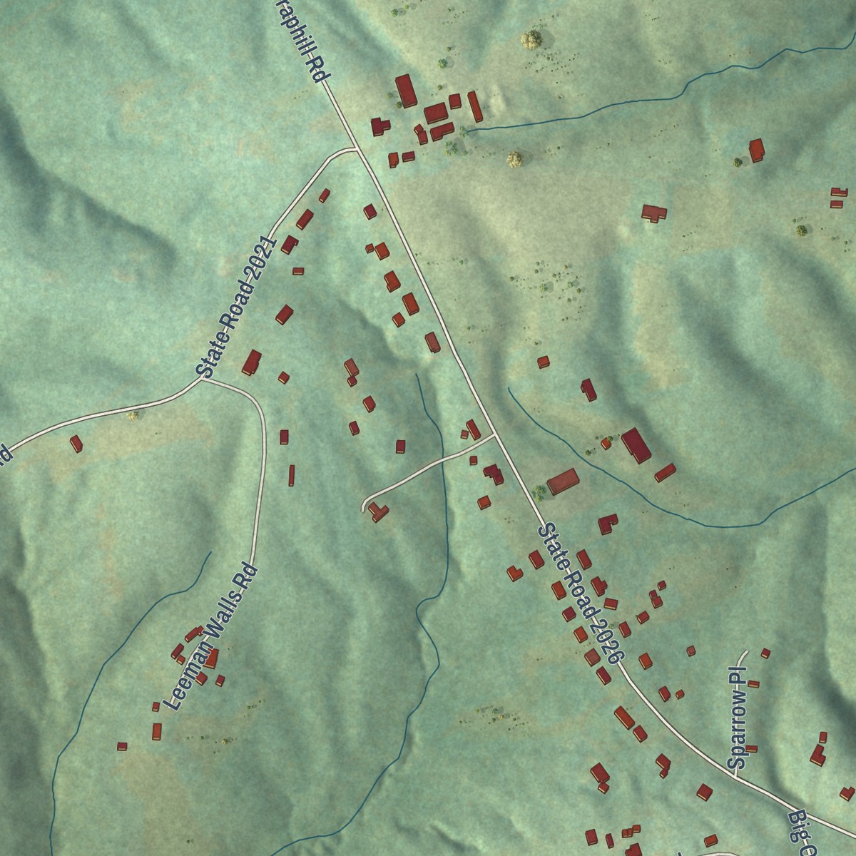 Second close-up of the map of Pleasant Hill, North Carolina print showing more streets and buildings