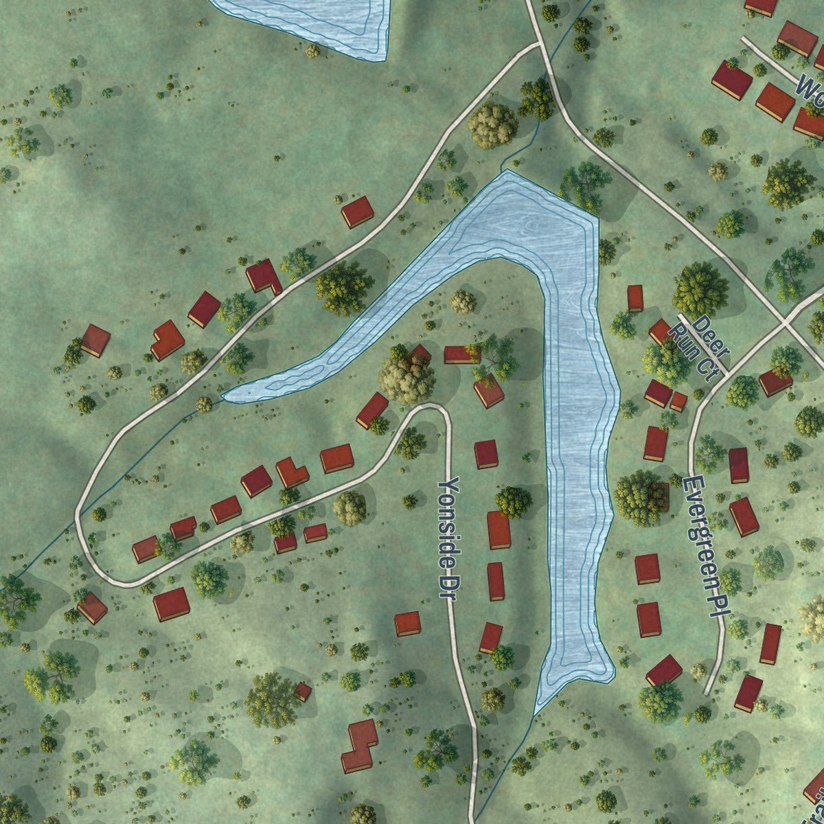 Second close-up of the map of Pleasant Hill, Tennessee print showing more streets and buildings