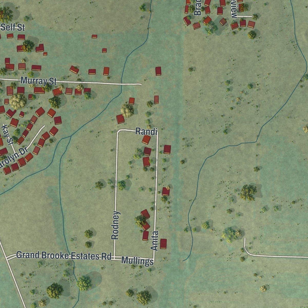 Second close-up of the map of Pleasant Hope, Missouri print showing more streets and buildings