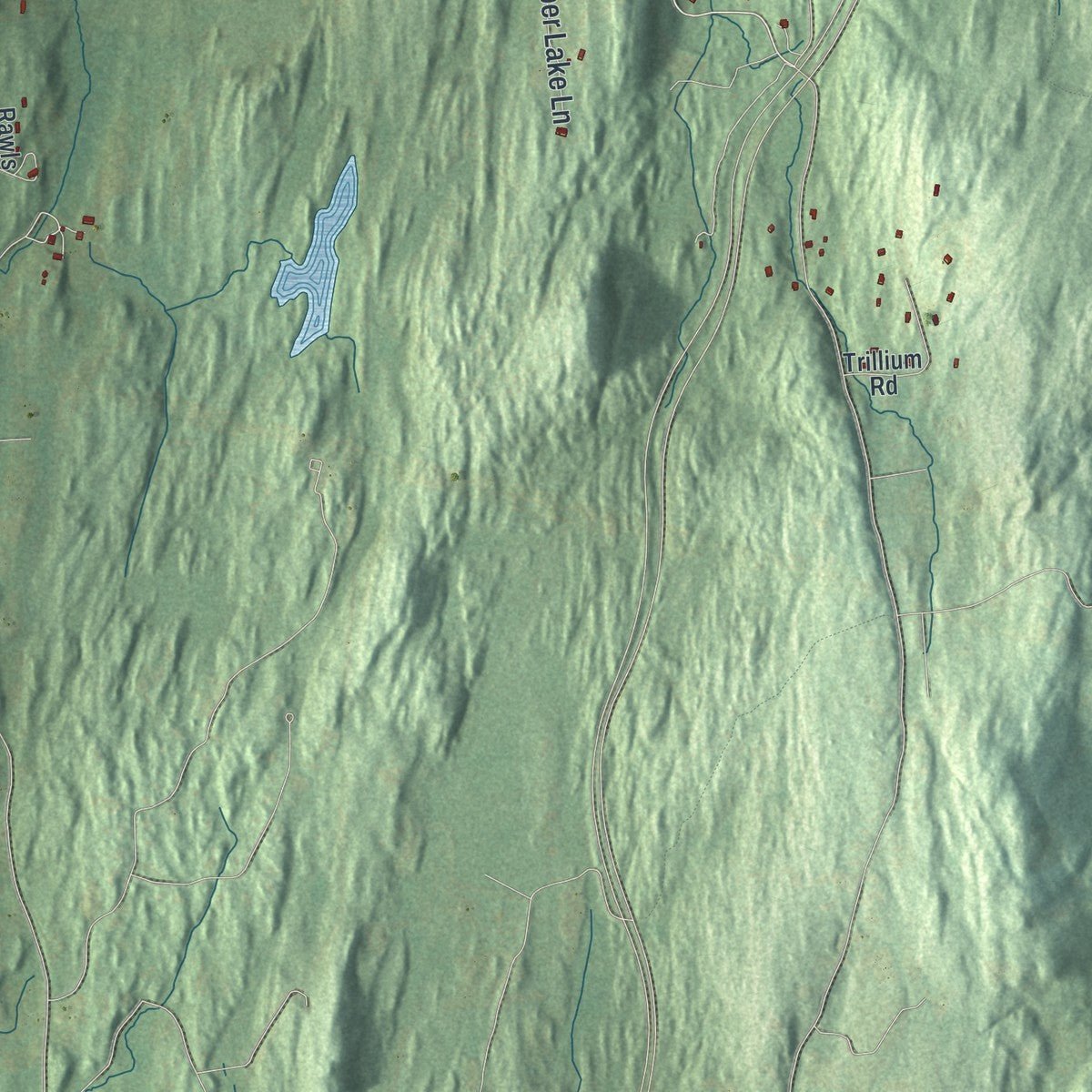 Second close-up of the map of Pleasant Valley, New York print showing more streets and buildings