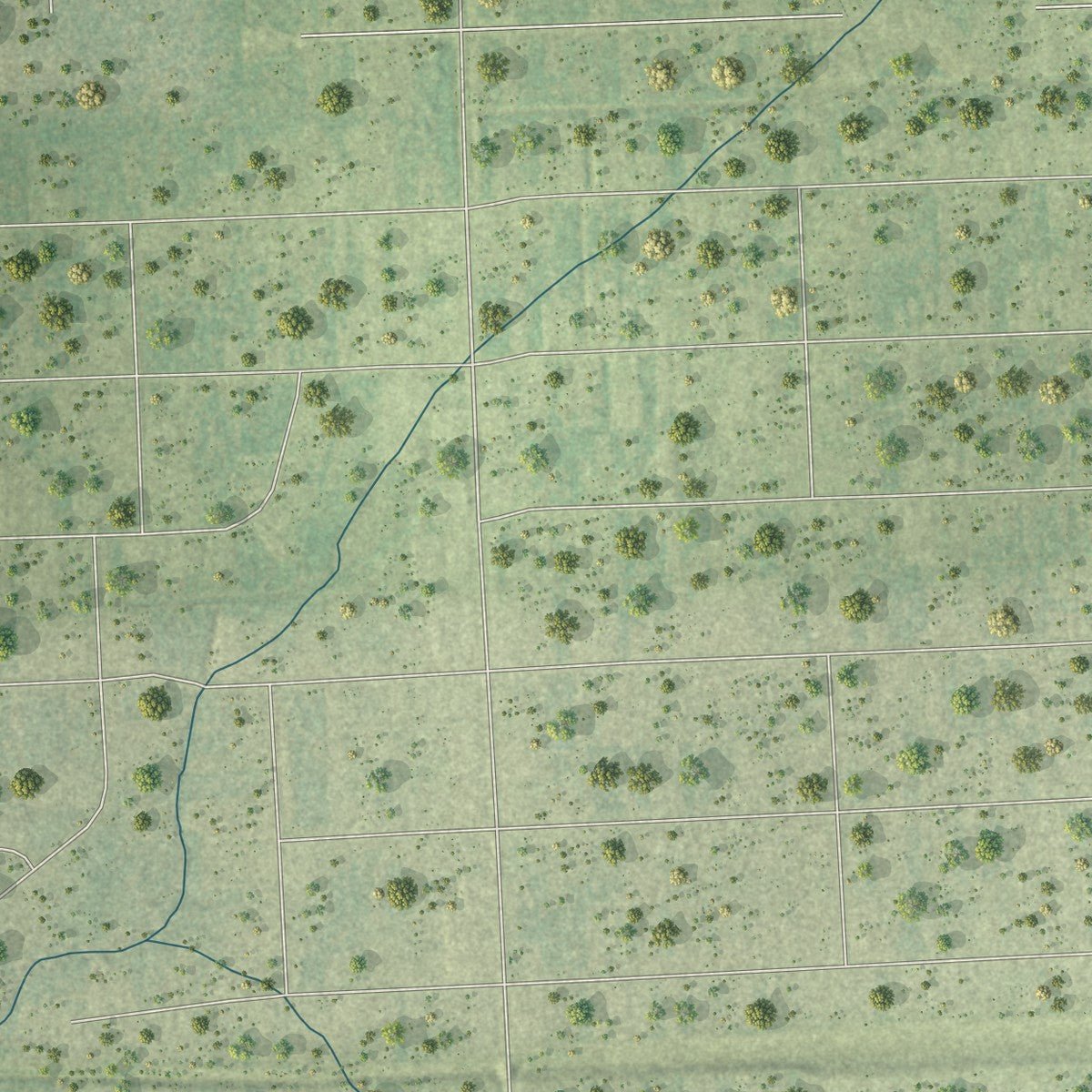Second close-up of the map of Plum Grove, Texas print showing more streets and buildings