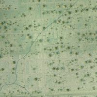 Second close-up of the map of Plum Grove, Texas print showing more streets and buildings