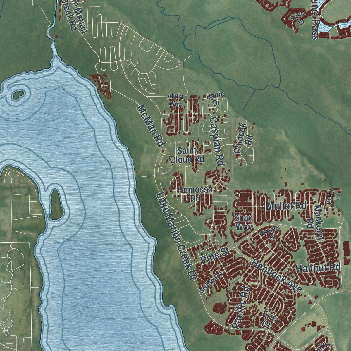 Second close-up of the map of Poinciana, Florida print showing more streets and buildings