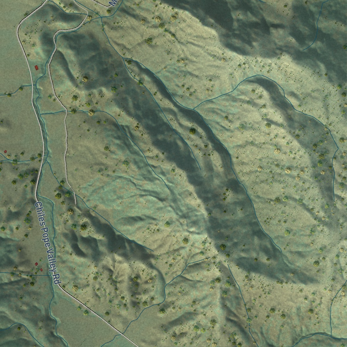 Second close-up of the map of Pope Valley, California print showing more streets and buildings