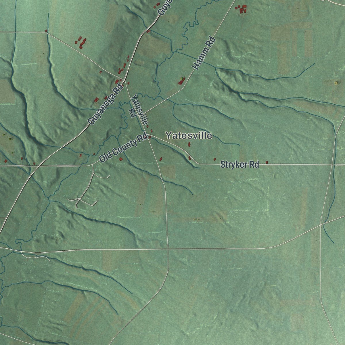 Second close-up of the map of Potter, New York print showing more streets and buildings