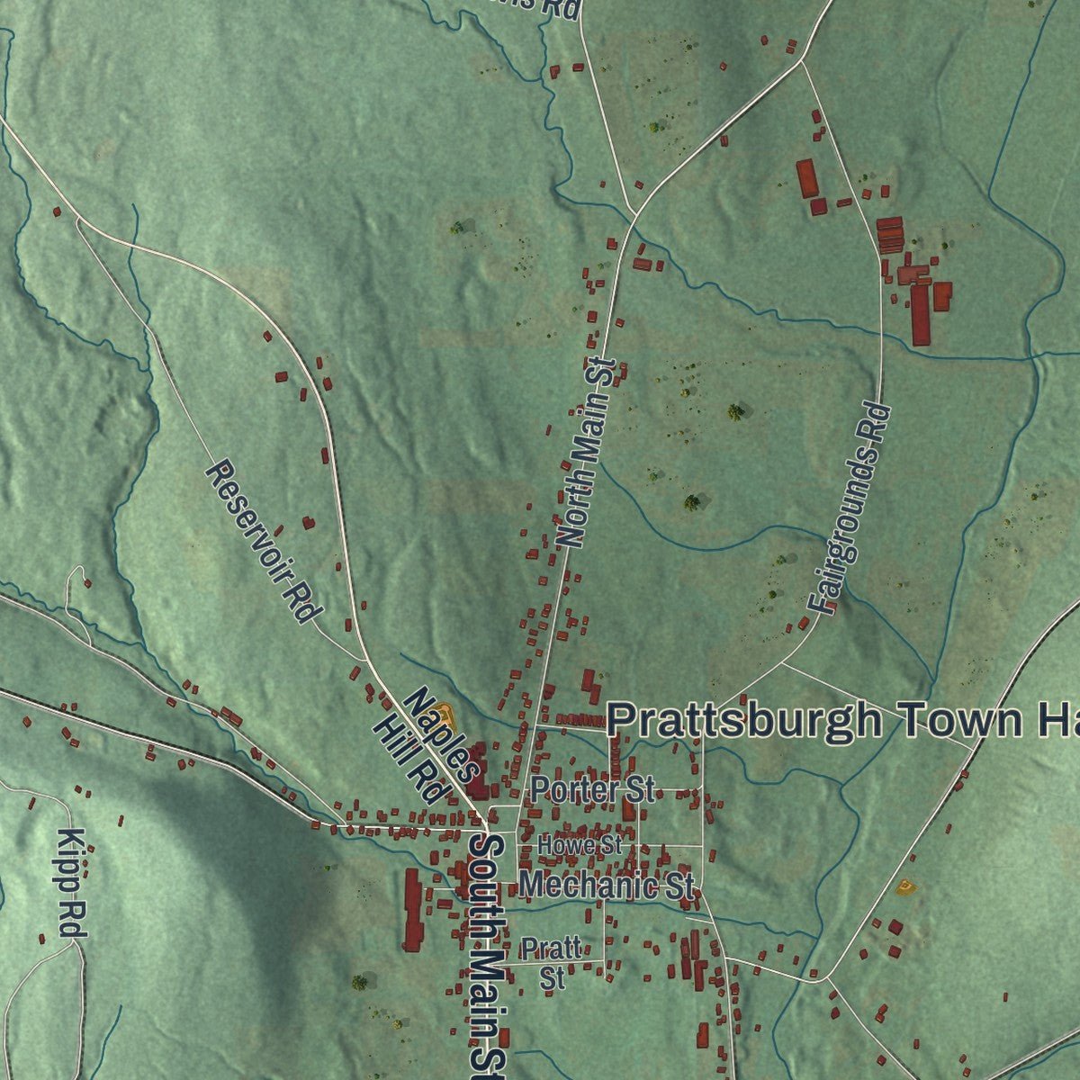 Second close-up of the map of Prattsburgh, New York print showing more streets and buildings