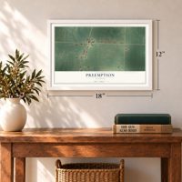Preemption, Illinois map, 12 x 18 inch print in a white frame in an entryway