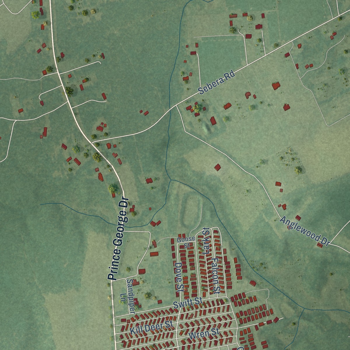 Second close-up of the map of Prince George, Virginia print showing more streets and buildings
