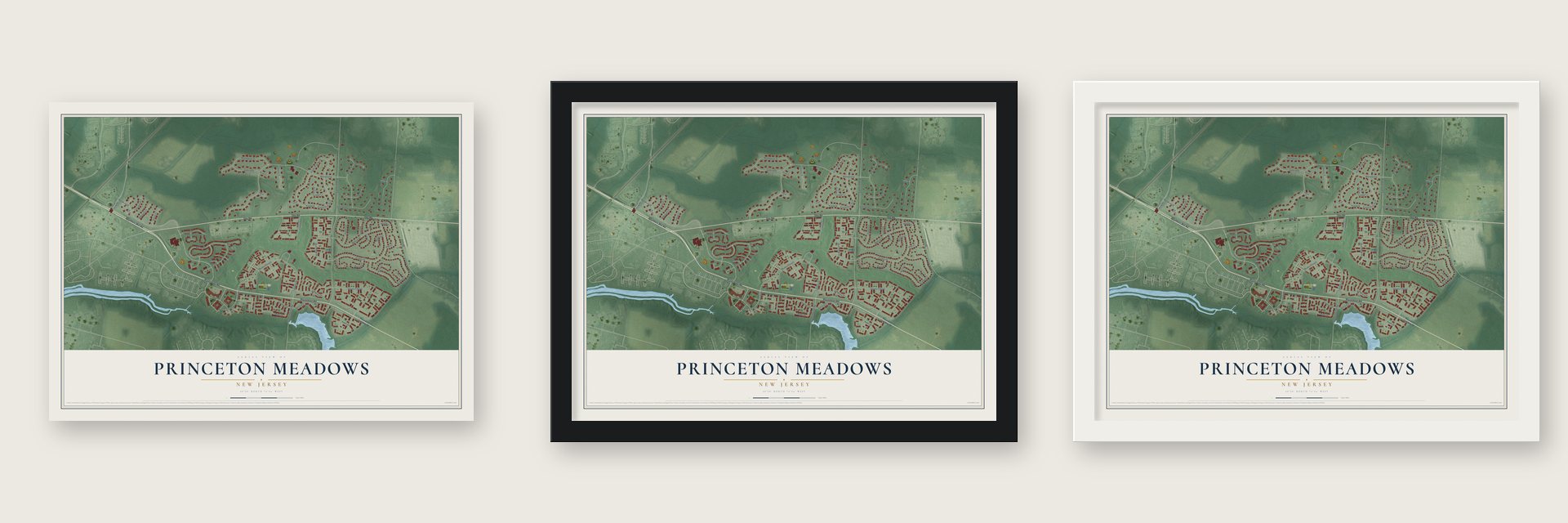 Princeton Meadows, New Jersey map unframed, in a black wood frame and in a white wood frame