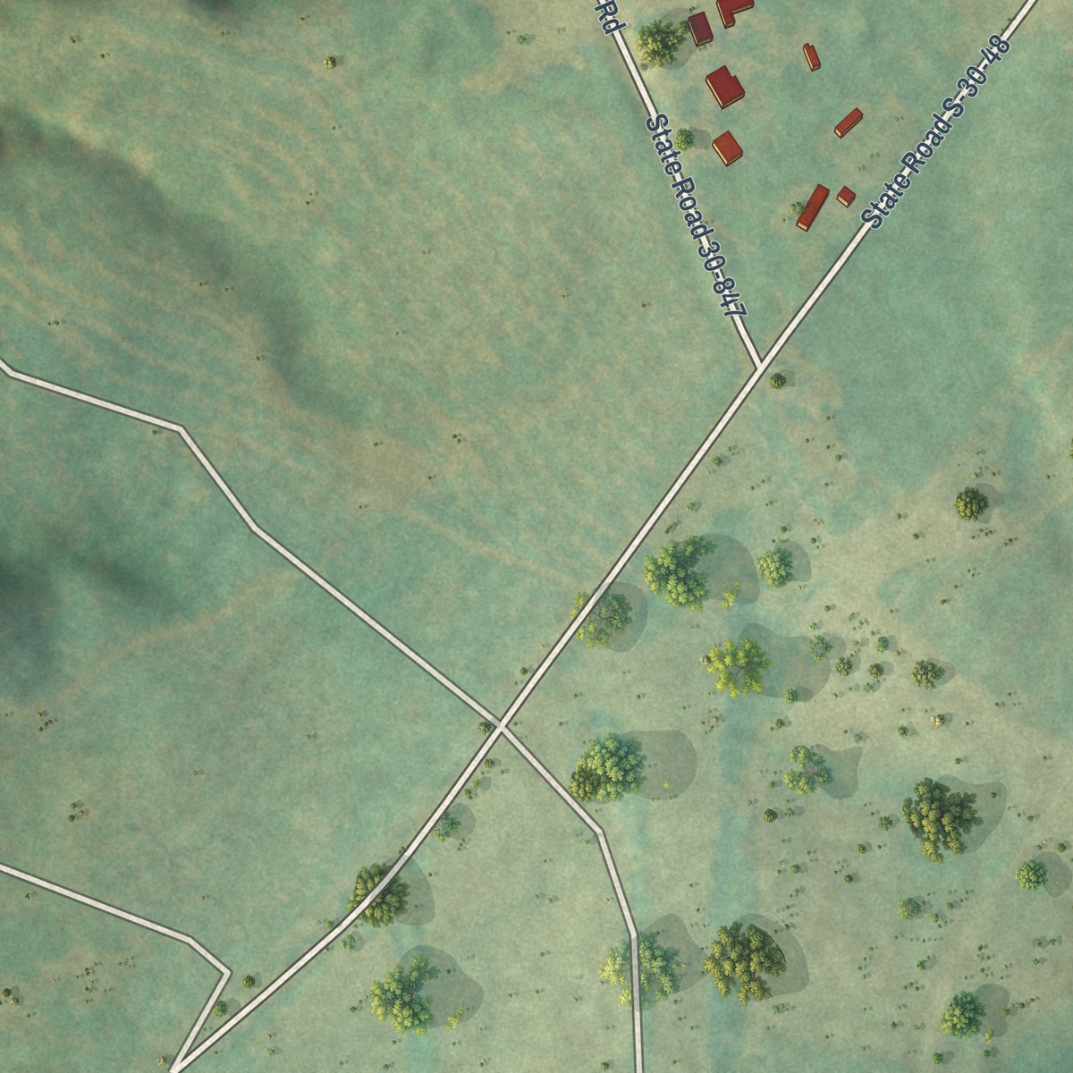 Second close-up of the map of Princeton, South Carolina print showing more streets and buildings