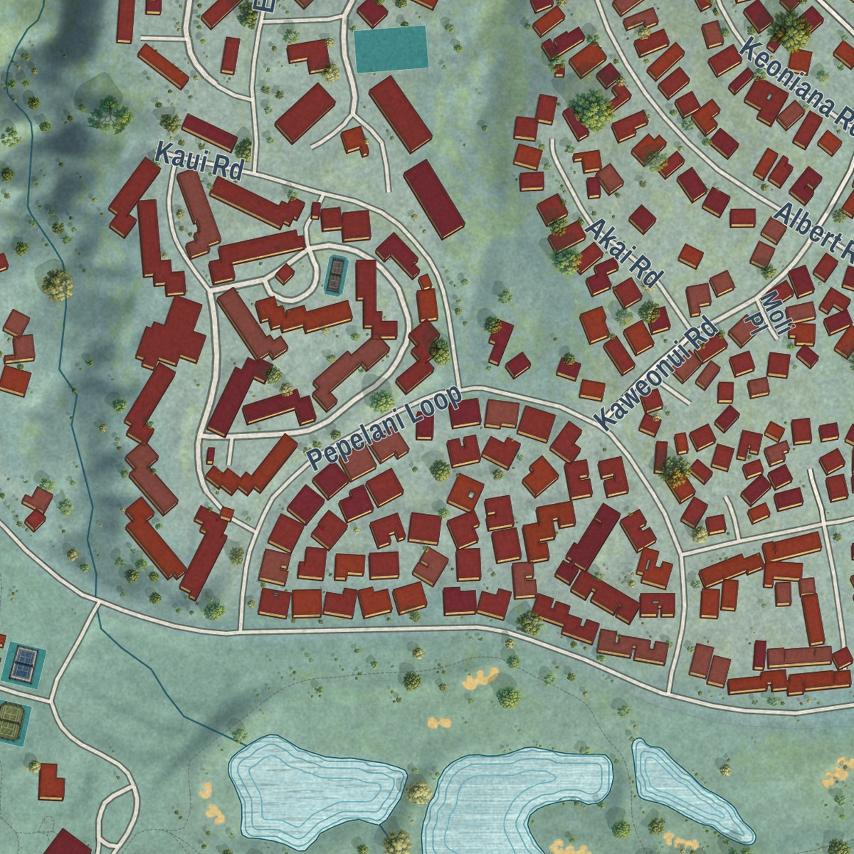 Second close-up of the map of Princeville, Hawaii print showing more streets and buildings