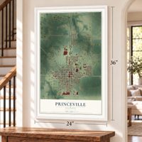 Princeville, Illinois map, 24 x 36 inch print in a white frame by a staircase