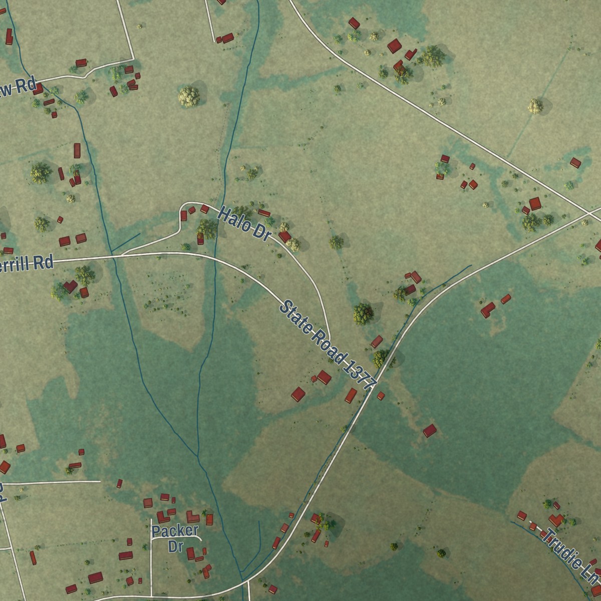 Second close-up of the map of Prospect, North Carolina print showing more streets and buildings
