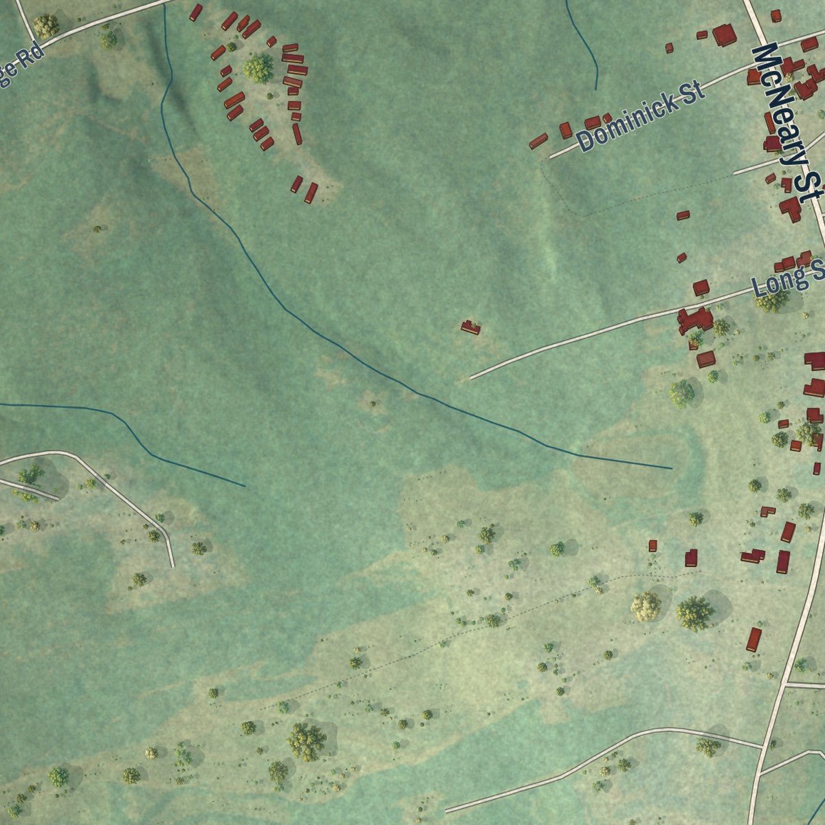 Second close-up of the map of Prosperity, South Carolina print showing more streets and buildings
