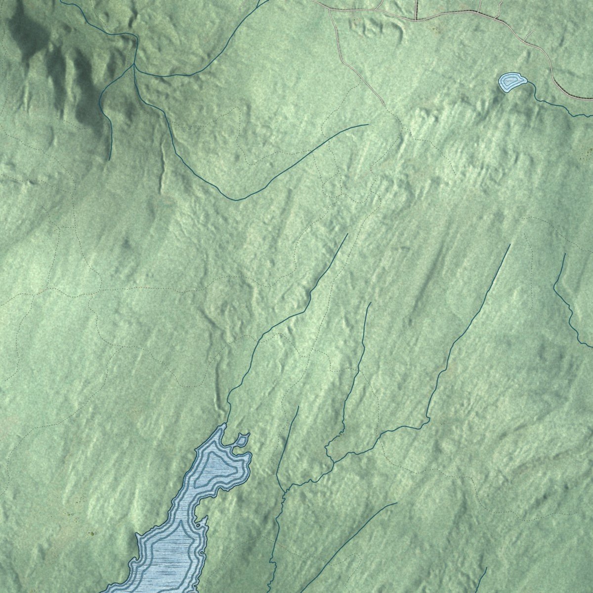 Second close-up of the map of Providence, New York print showing more streets and buildings