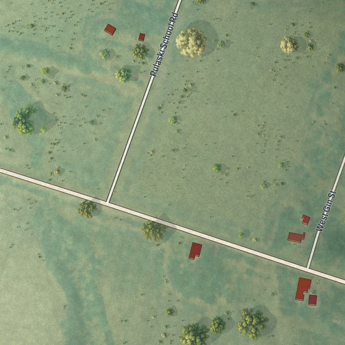 Second close-up of the map of Pulaski, Georgia print showing more streets and buildings