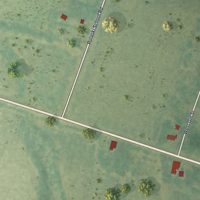 Second close-up of the map of Pulaski, Georgia print showing more streets and buildings