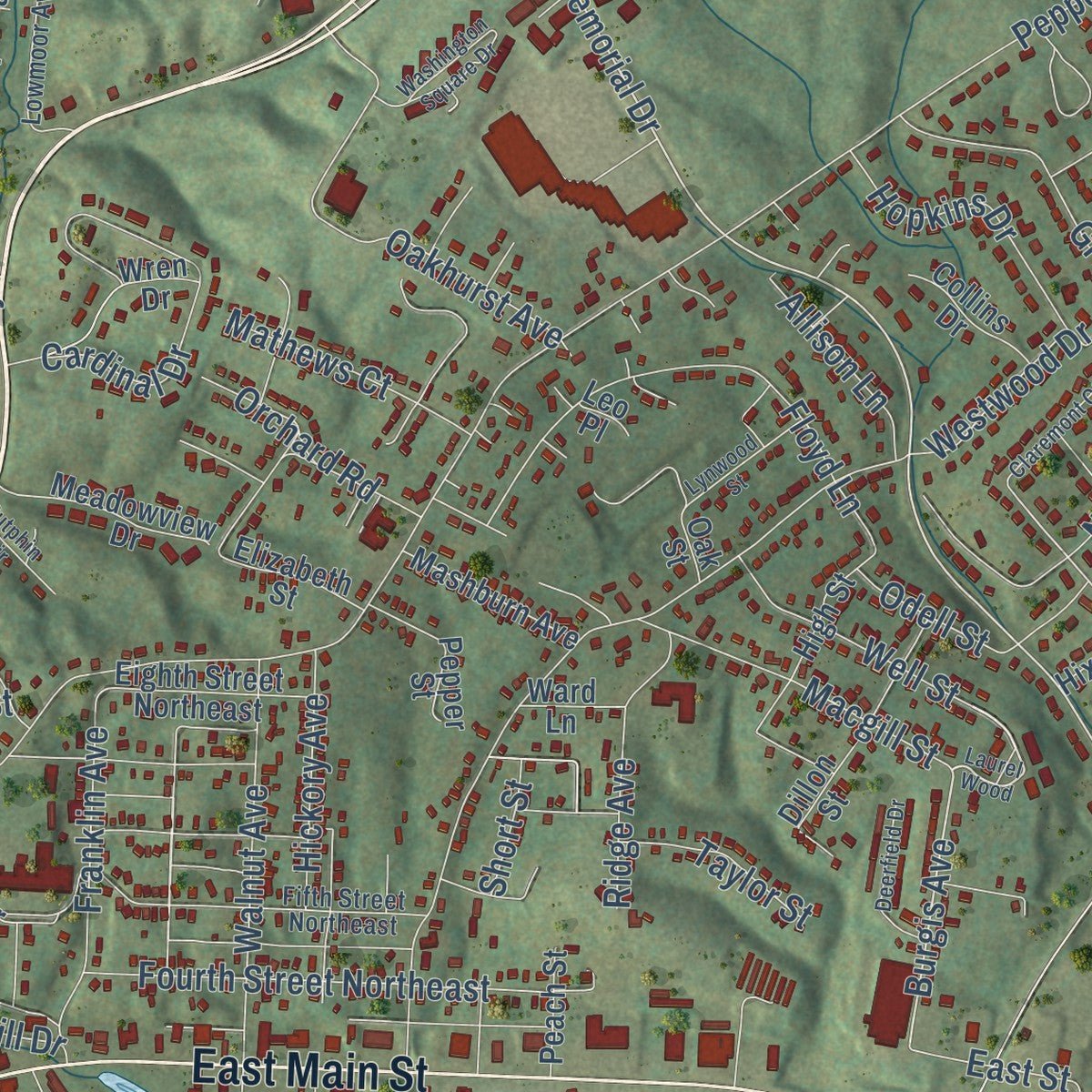 Second close-up of the map of Pulaski, Virginia print showing more streets and buildings