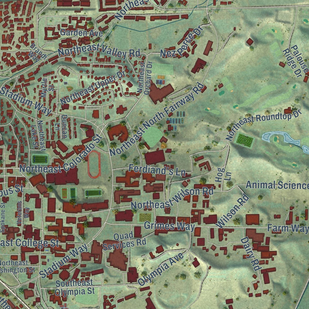 Second close-up of the map of Pullman, Washington print showing more streets and buildings