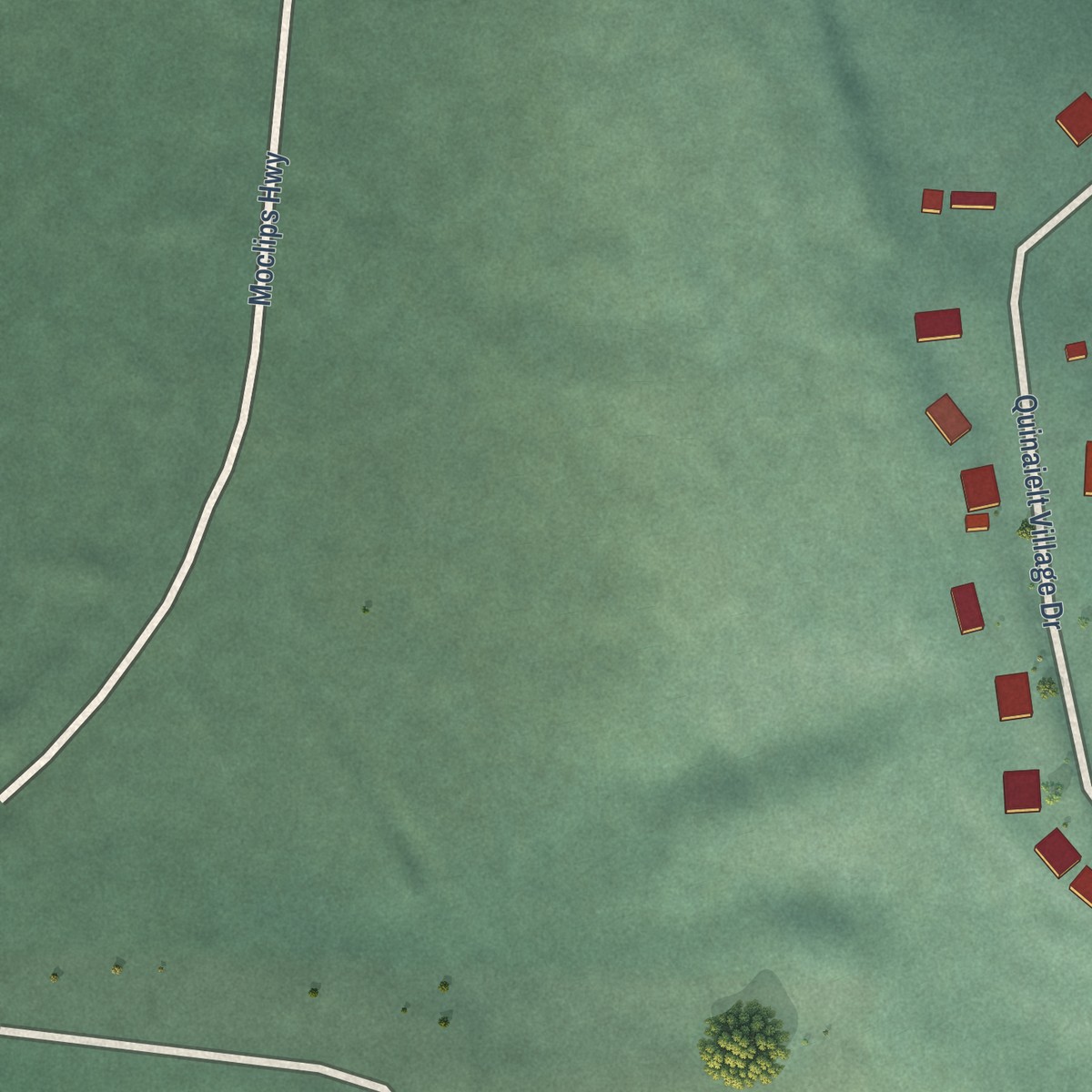 Second close-up of the map of Qui-nai-elt Village, Washington print showing more streets and buildings