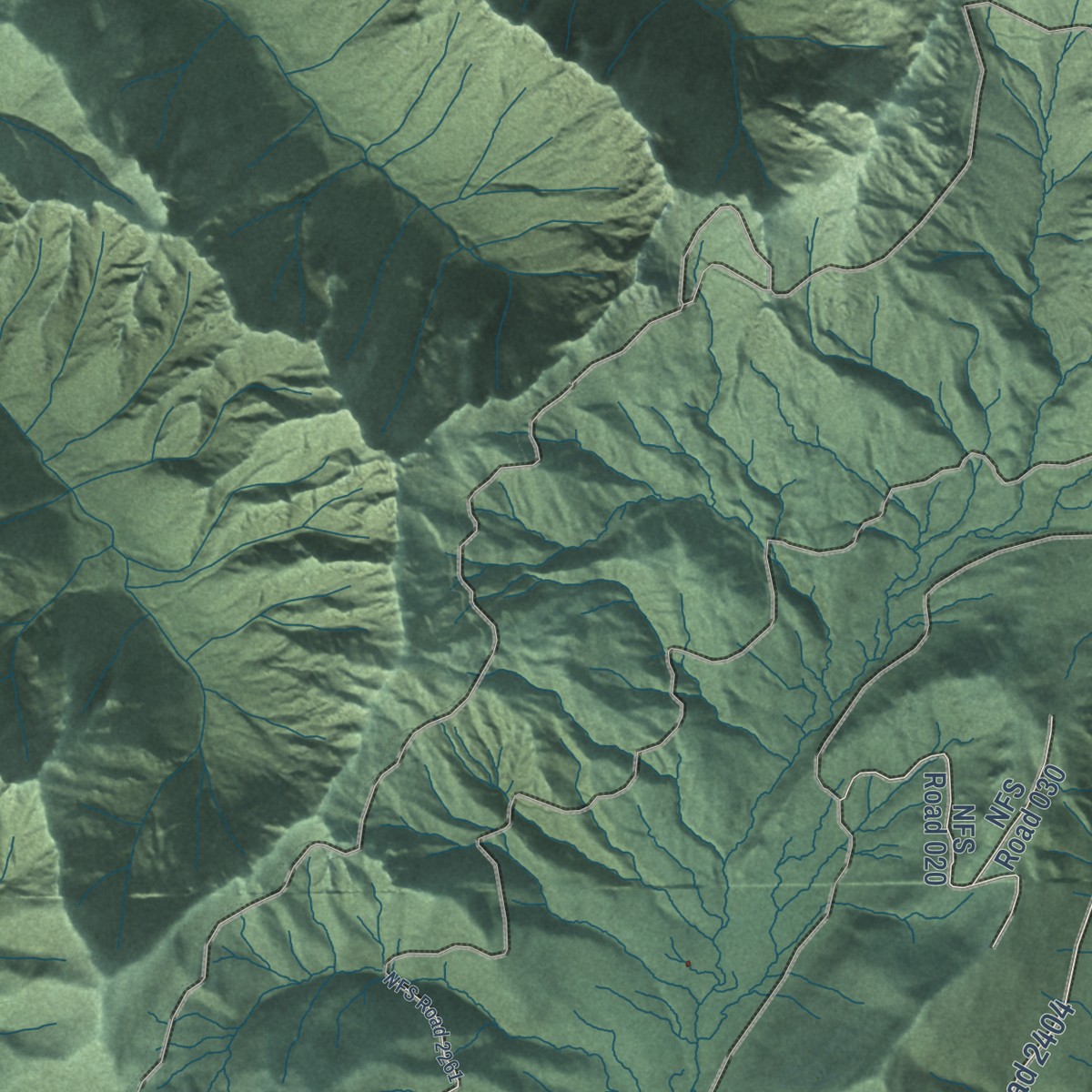 Second close-up of the map of Quinault, Washington print showing more streets and buildings