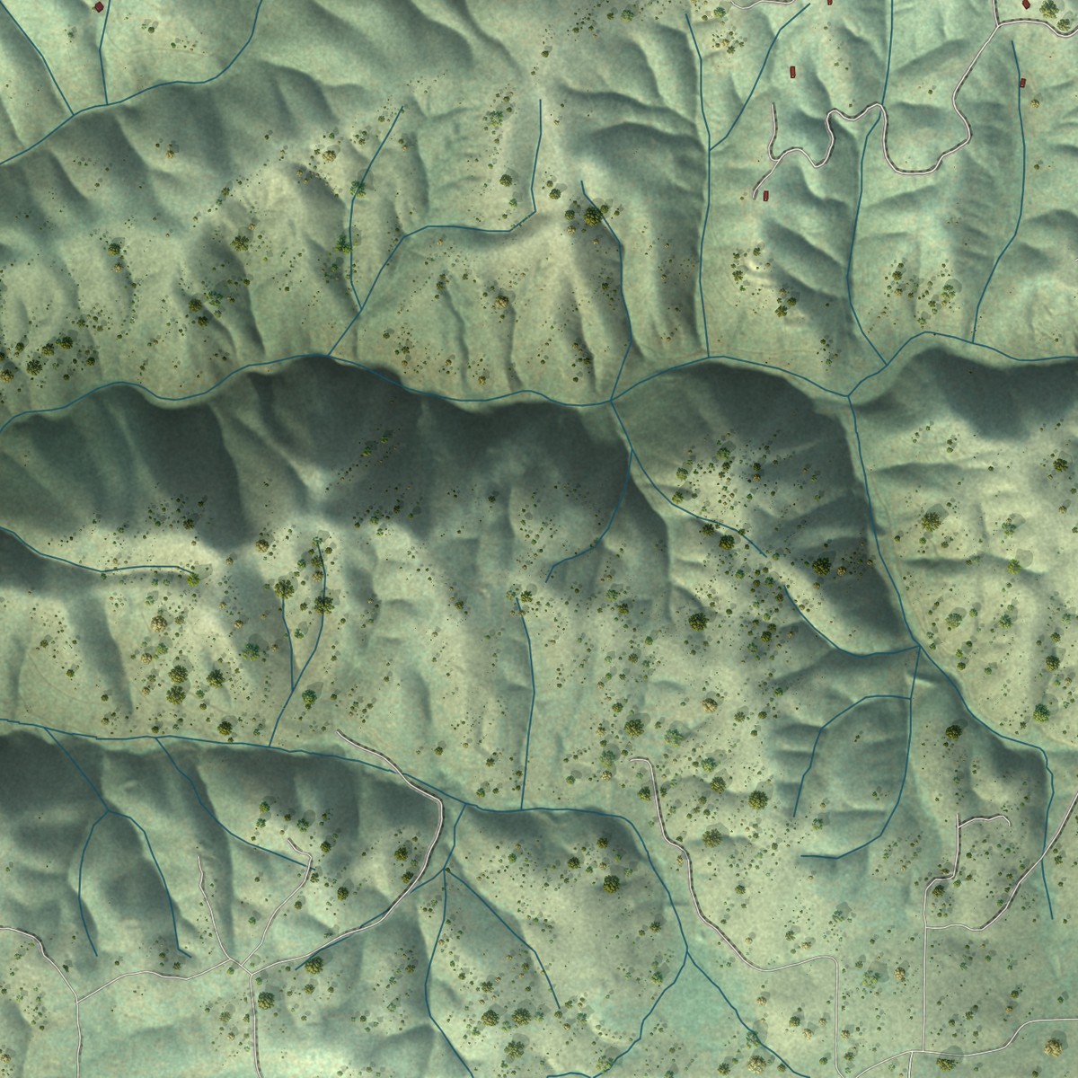 Second close-up of the map of Rail Road Flat, California print showing more streets and buildings
