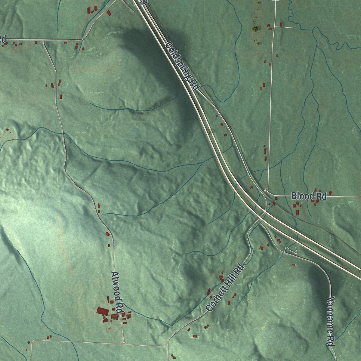 Second close-up of the map of Randolph, New York print showing more streets and buildings