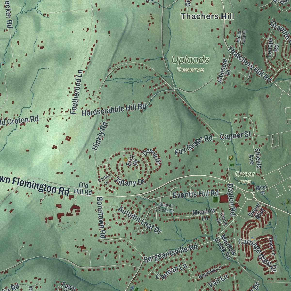 Second close-up of the map of Raritan, Hunterdon County, New Jersey print showing more streets and buildings