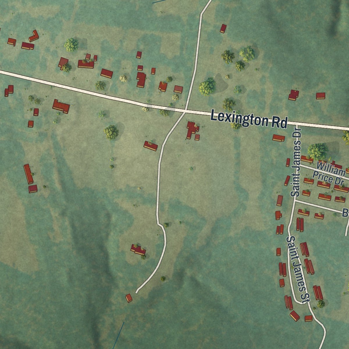 Second close-up of the map of Rayle, Georgia print showing more streets and buildings