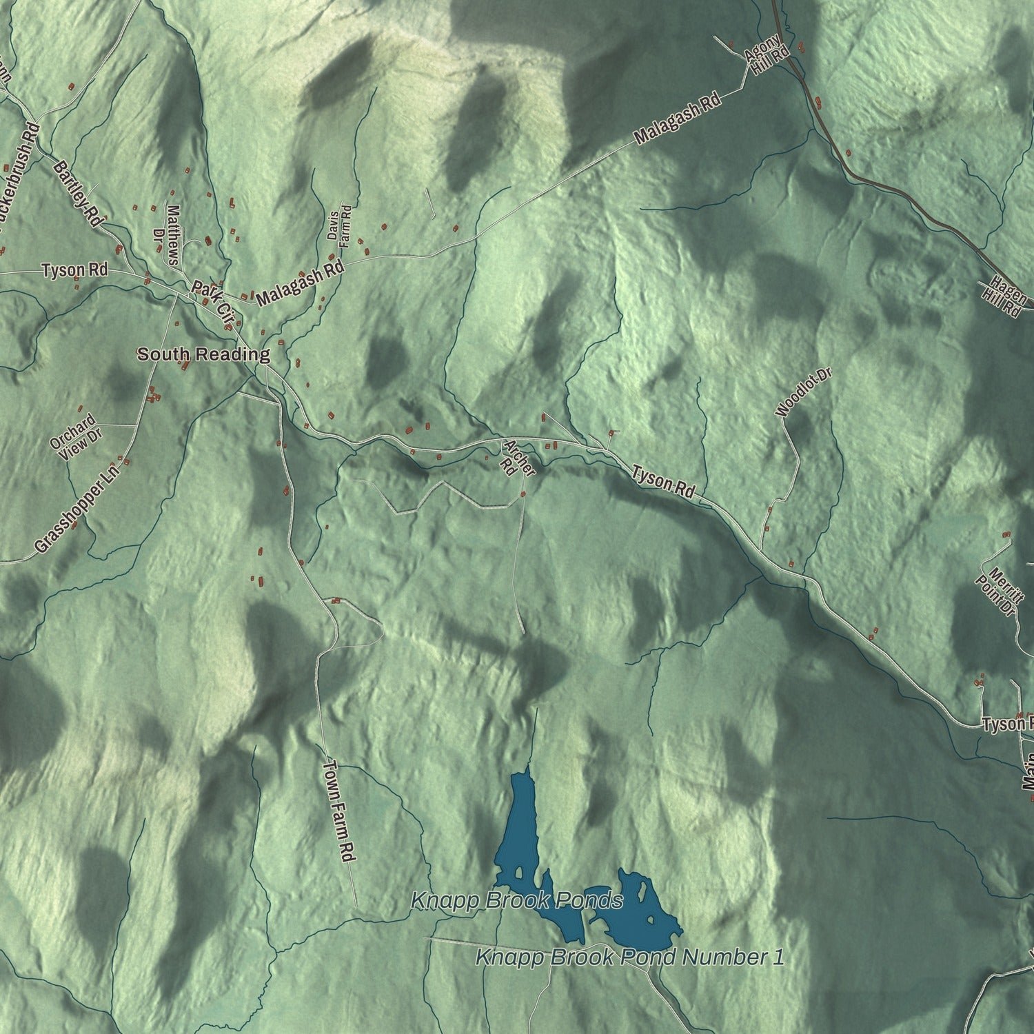 Close-up of the map of Reading, Vermont print showing terrain and local geography